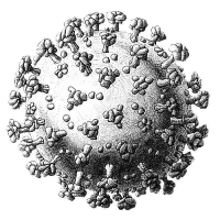 Covid virus